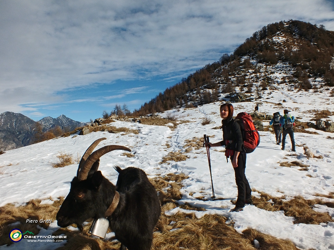 59 la Bocchetta di Chiaro (1660 m) con caprette....JPG